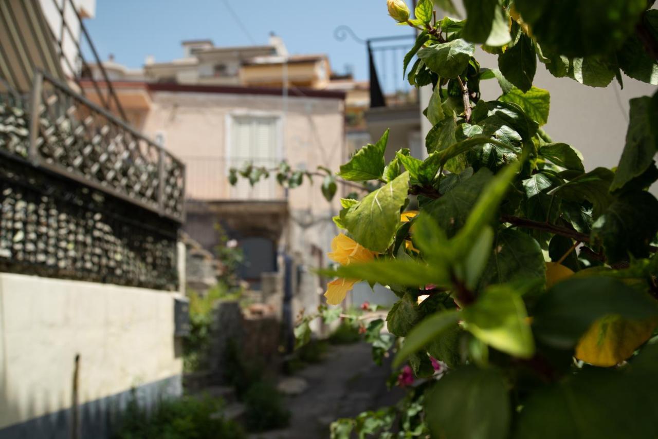 Nick & Santo'S Holiday Homes B&B Giardini Naxos Ngoại thất bức ảnh